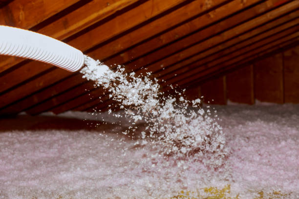 Best Attic Insulation Installation  in Pingree Grove, IL