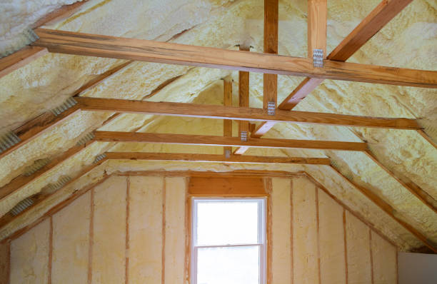 Best Home Insulation Services  in Pingree Grove, IL