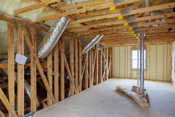 Best Professional Insulation Contractor  in Pingree Grove, IL