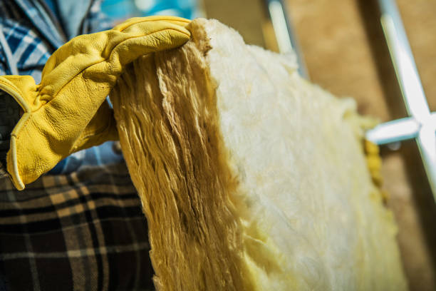 Best Blown-in Insulation  in Pingree Grove, IL