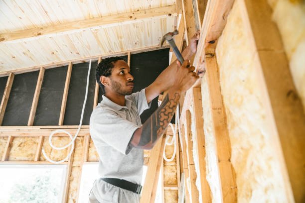 Best Insulation Contractors for Homes  in Pingree Grove, IL