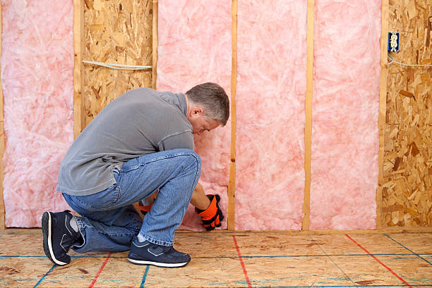 Best Insulation for New Construction  in Pingree Grove, IL