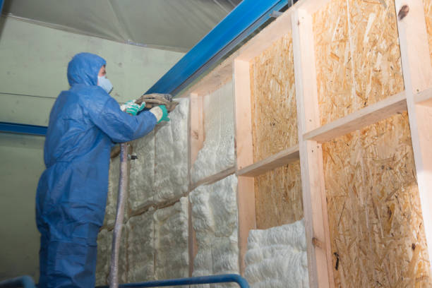 Best Attic Insulation Installation  in Pingree Grove, IL