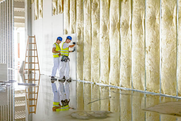 Best Commercial Insulation Contractor  in Pingree Grove, IL